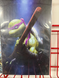 Teenage Mutant Ninja Turtles #4 (IDW, 2024) - Donatello Virgin Cover