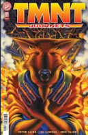 TMNT Journeys #11 Cover A Dooney Lawson