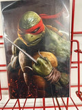 Teenage Mutant Ninja Turtles #4 (IDW, 2024) - Raphael Virgin Cover